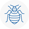 Bed Bug Extermination In Baildon